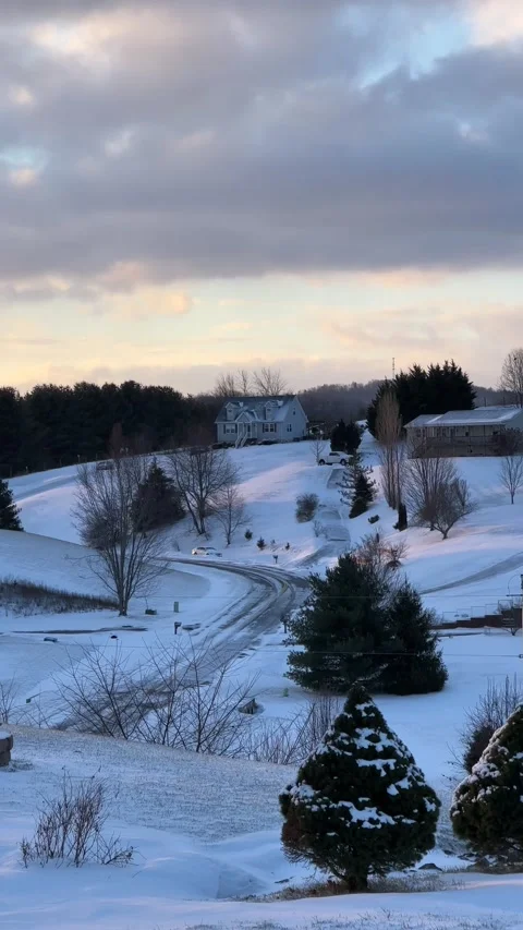 IMG 8169 Stock Footage 169362416