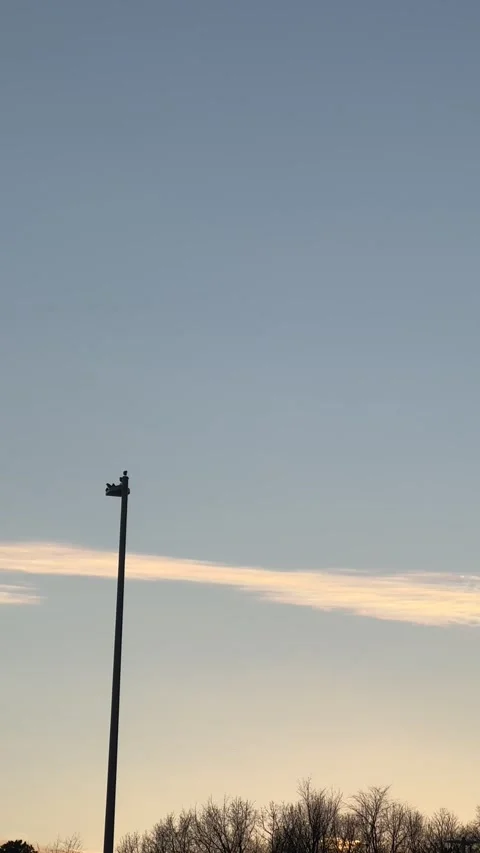 IMG 8209 Stock Footage 169418866