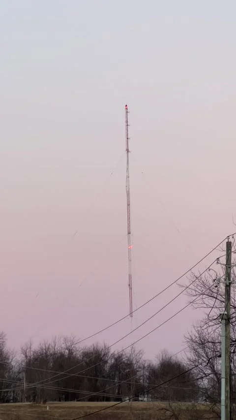 IMG 8216 Stock Footage 169491249