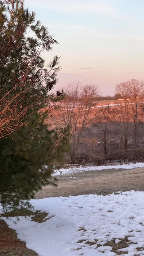 IMG 8249 Stock Footage 169594501