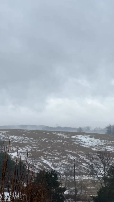 IMG 8282 Stock Footage 169723320