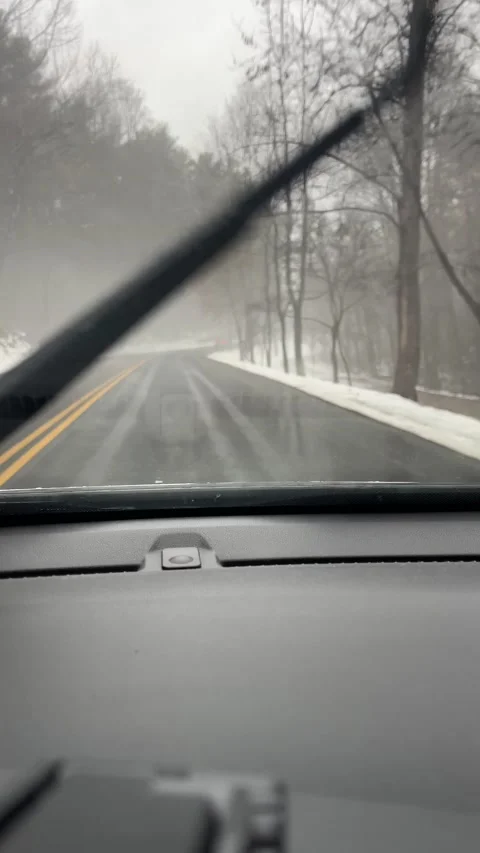 IMG 8287 Stock Footage 169723100