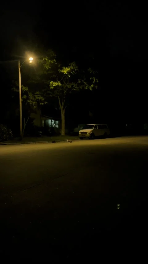 IMG 8312 Video stock 279520738