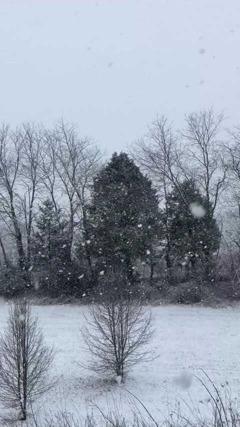 IMG 8412 Stock Footage 170245668