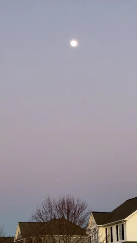 IMG 8434 Stock Footage 170350285