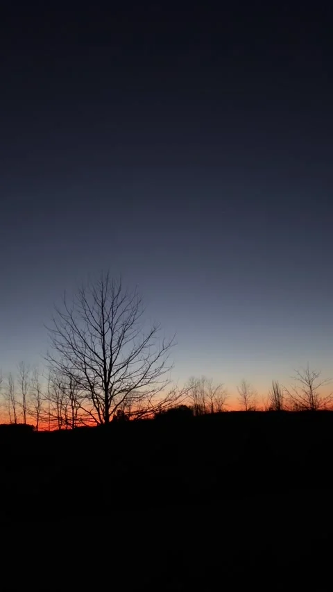 IMG 8440 스톡 동영상 170350268