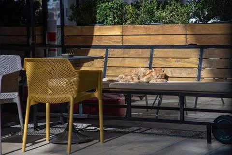 IMG 8463 Stock Photos