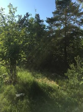 IMG 8656 Stock Photos