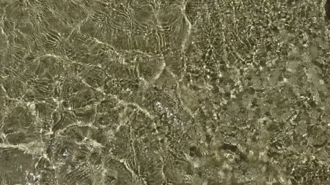 IMG 8879 Stock Footage 346063447