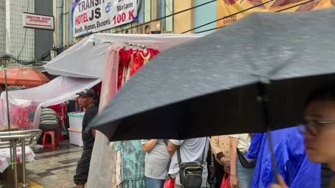 IMG 8926 Stock Footage 299696533