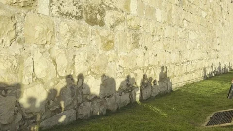IMG 9042 Stock Footage 346643561