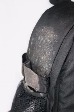 IMG 9093 Fotos de archivo