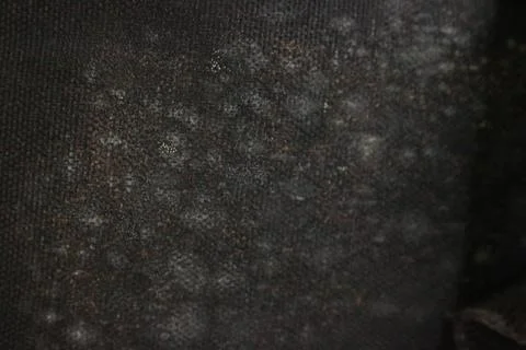 IMG 9112 库存照片