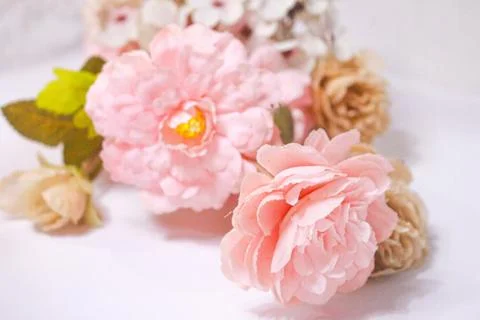 IMG 9178 Stock Photos