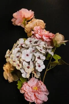 IMG 9198 Foto stock