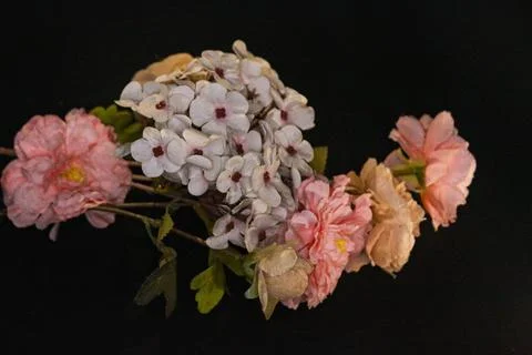 IMG 9203 Foto stock