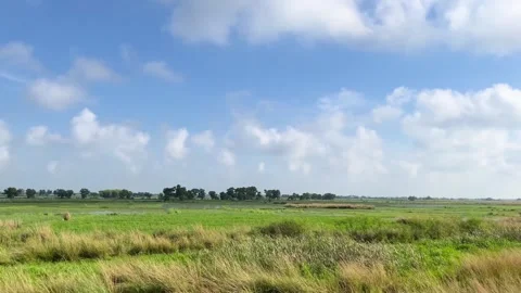 IMG 9832 (84) Stock Footage 323366845