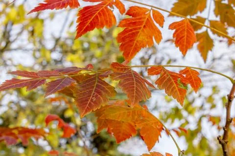 IMG 9986 Fotos de archivo