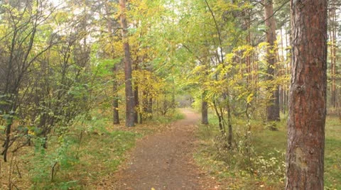 IMG Stock Footage 8849999