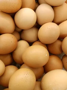 IMGG Stock Photos