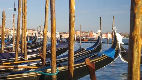 IMGP6062 Stock Footage 111513797