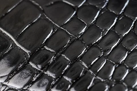 Imitating crocodile leather for making objects, black polished leather dyed b 스톡 사진