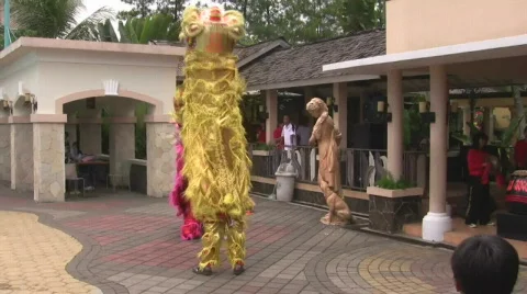 Imlek with Tiger Dance Stock-Footage 688971
