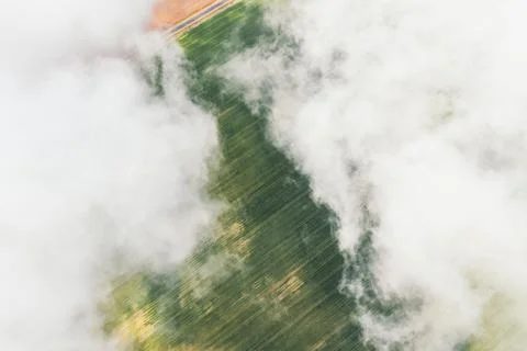 Immaculate white clouds over the green fields . Flying high clouds Foto stock