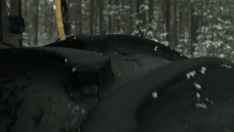 The immence harvester in a forest cutting tree Stock Footage 69967017