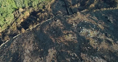 The immense and sad scale of an environmental disaster from a drone The Rea.. Stock-Footage 317157973