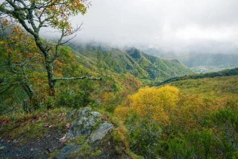The Immense Deciduous Native Forest Devesa da Rogueira Stock Photos