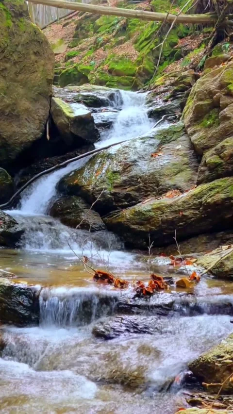 Immerse in Nature's Symphony: Relax to Tranquil River Sounds. Stock Footage 273972676
