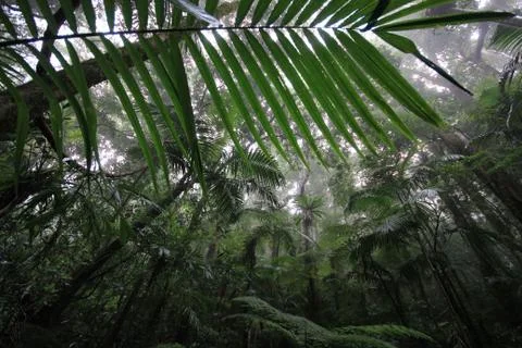 Immerse 스톡 사진