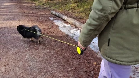 Immerse yourself in tranquility of nature as young woman enjoys leisurely walk Stock Footage 268741922