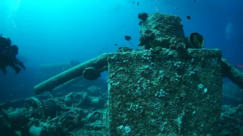 Immerse yourself in vibrant world of fish SS Thistlegorm in slow motion. Stock Footage 236391600