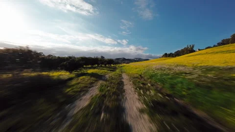 Immersed in the field with the colors of spring Stock Footage 265270057