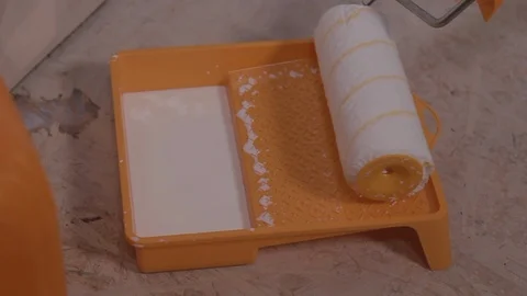 Immersing The Roller In The Primer Solution Stock Footage 101388781