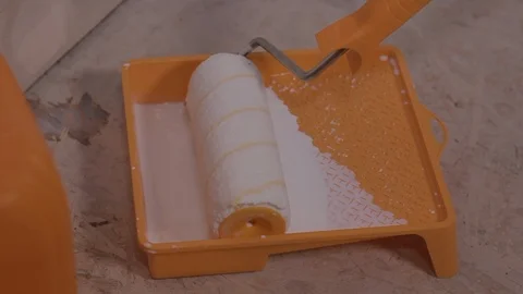 Immersing The Roller In The Primer Solution Stock Footage 101388792