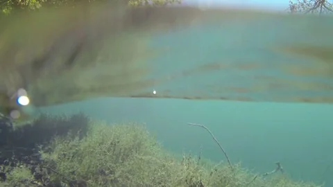 Immersion in the lake Stock Footage 69778073