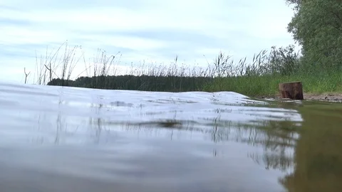 Immersion in the pond Stock Footage 91385535