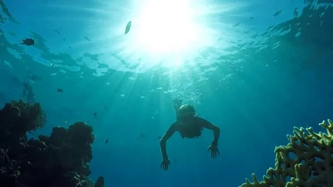 Immersion in the sea depth without scuba Stock Footage 84505070
