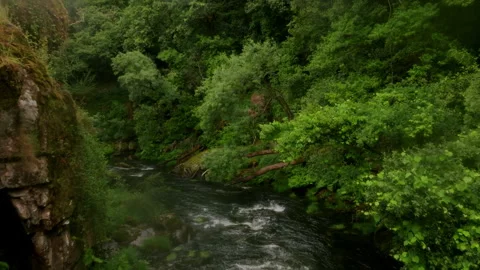 Immersive aerial perspective of a spirited river flowing through a lush, verdant 库存影片 336287029