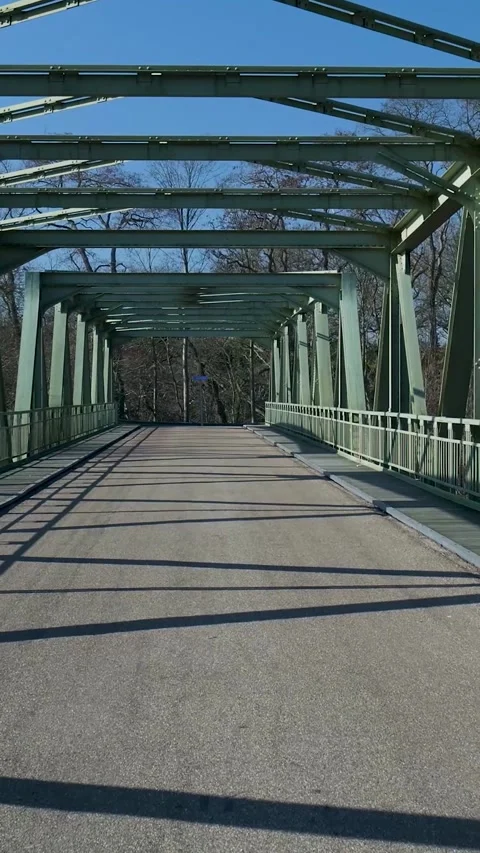 Immersive point of view walking on an empty steel bridge in a park Stock Footage 334423301