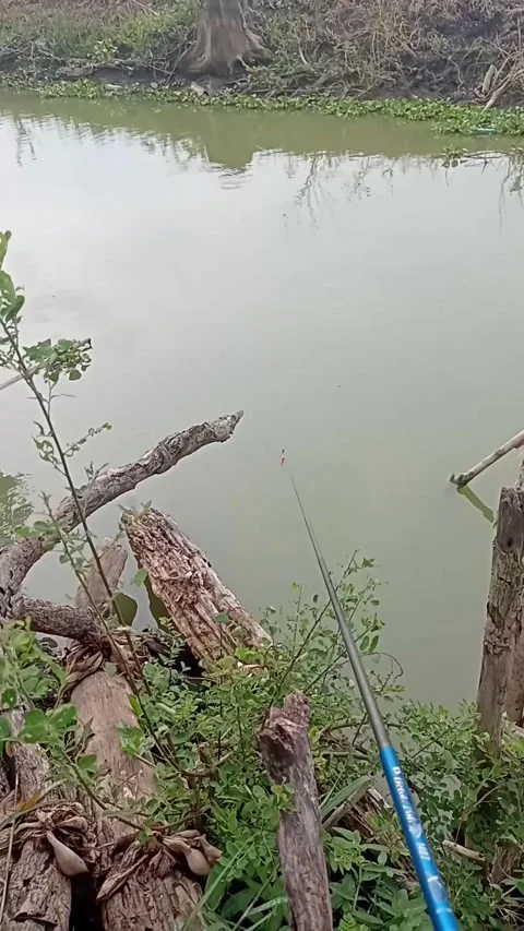 Immersive POV shot of hooking a fish with a bending rod in a freshwater stream Stock Footage 335816351