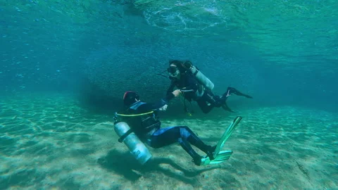 Immersive Scuba Lesson: Two Divers Swims in Millions of Silversides Fish Stock Footage 337608233