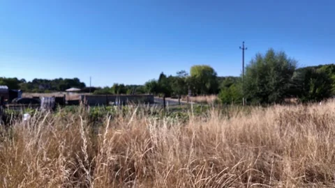 Immersive walk through countryside grass flowers and trees 库存影片 345002946