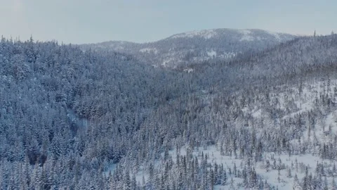 Immersive winter drone shot. 動画素材 132763401