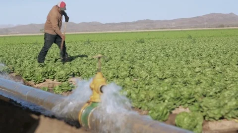 Immigrant Worker in a Red Hat Mexico Stock Footage 94643623