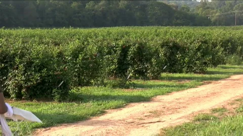 Immigrant workers Stock Footage 881491