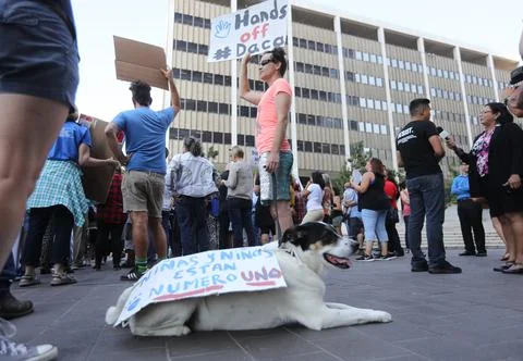 Immigrants protest DACA program termination in Los Angeles, USA - 05 Sep 2017 Foto stock
